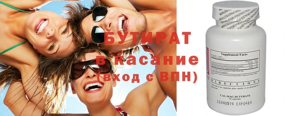 сатива Каменка