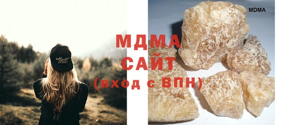 сатива Каменка
