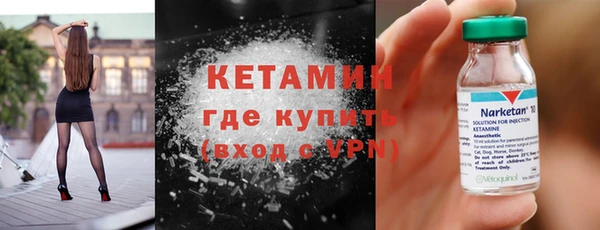сатива Каменка