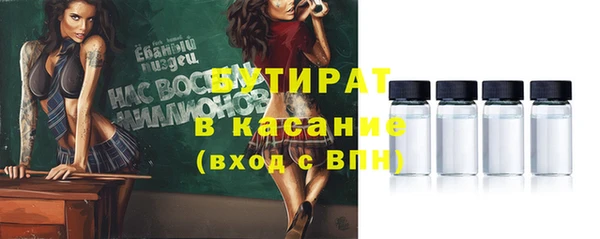 сатива Каменка