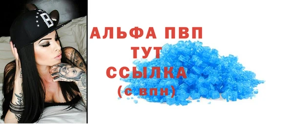 сатива Каменка