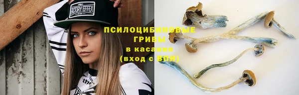 сатива Каменка