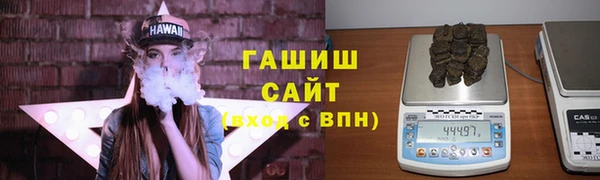 сатива Каменка
