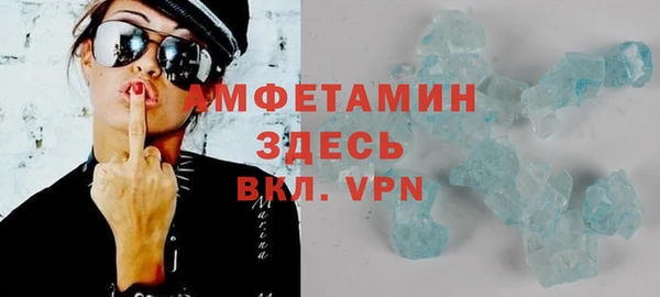 сатива Каменка