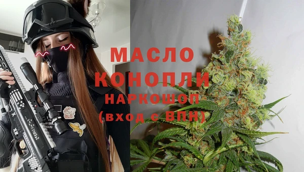 сатива Каменка