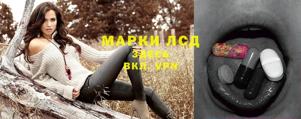 сатива Каменка