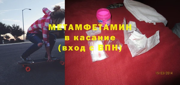 сатива Каменка