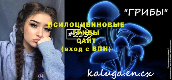 дурь Каменск-Шахтинский