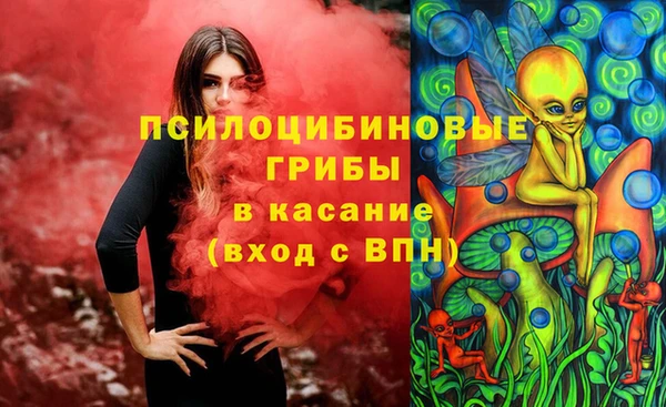 jwh Каменногорск