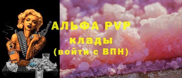 сатива Каменка