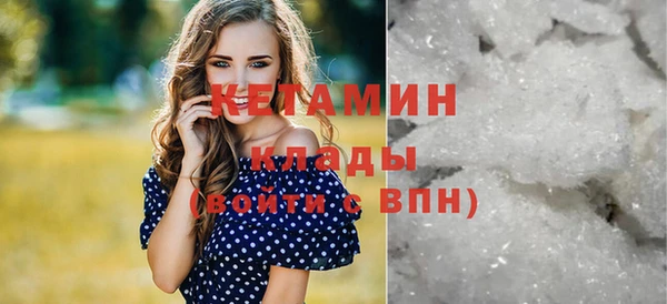 сатива Каменка